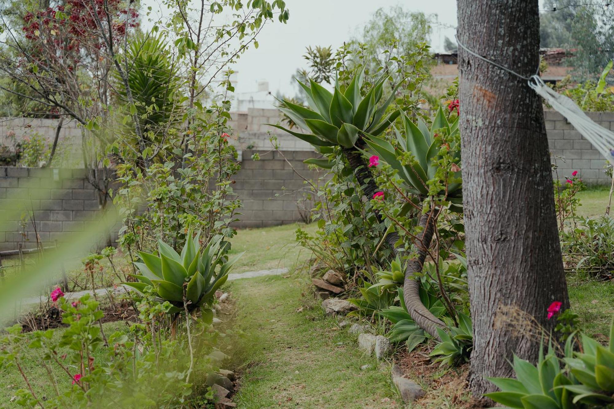 Kinti Wasi Casa De Campo Hospedaje Los Banos del Inca Екстер'єр фото